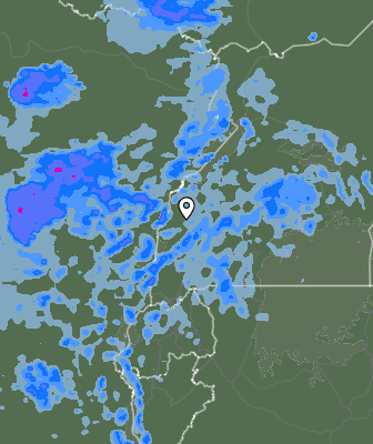Валежи