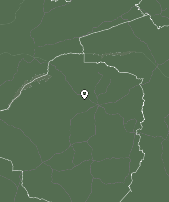 Niederschlagsprognose