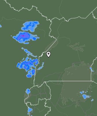 Валежи