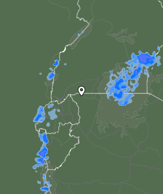 Niederschlagsprognose