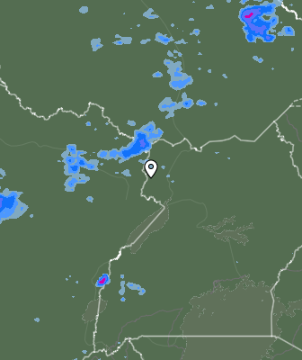 Валежи