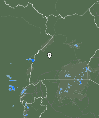 Валежи