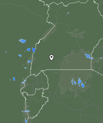Валежи