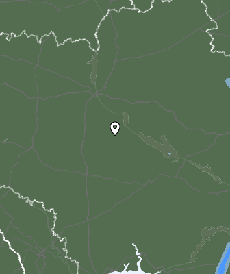 Валежи