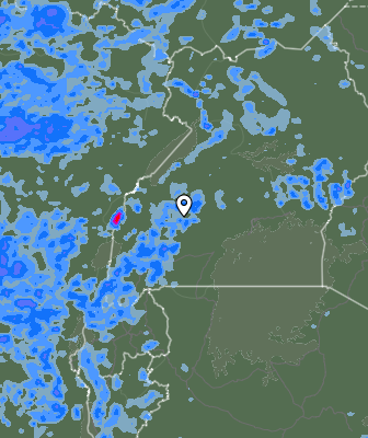 Валежи