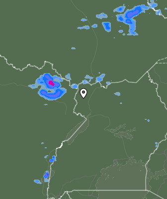 Валежи