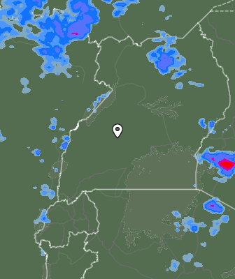 Niederschlagsprognose