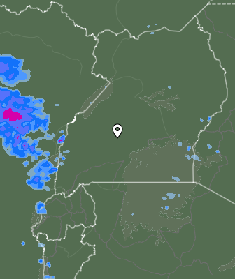 Валежи
