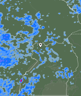 Валежи