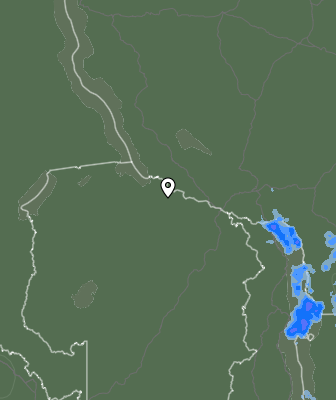 Niederschlagsprognose