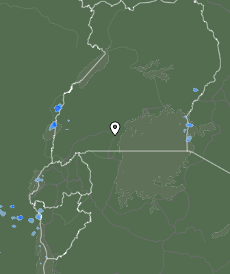 Nedbør