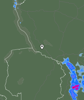 Niederschlagsprognose