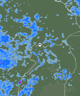Валежи