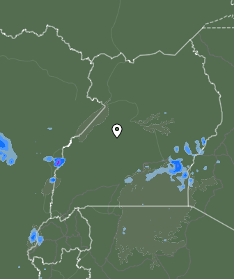 Валежи