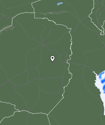 Niederschlagsprognose