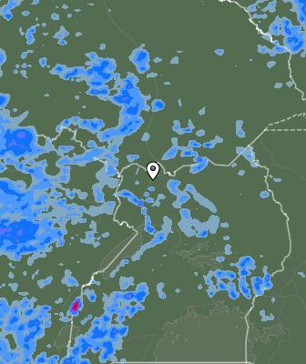 Валежи