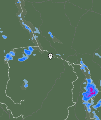 Niederschlagsprognose