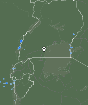 Nedbør