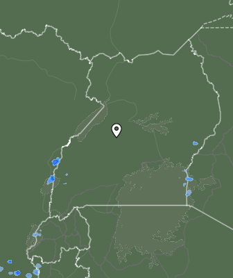 Nedbør