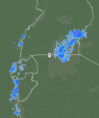 Nedbør