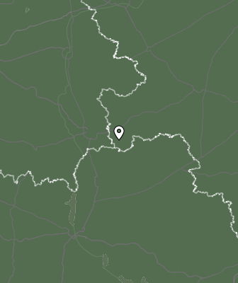 Niederschlagsprognose