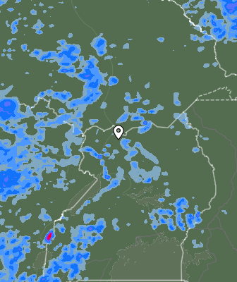 Валежи