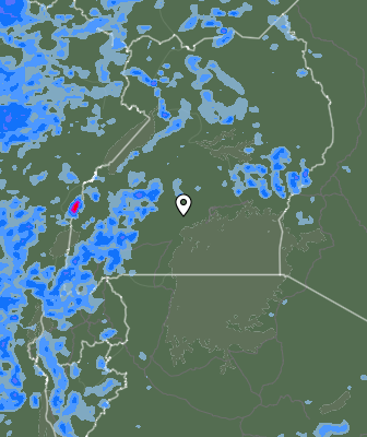 Валежи