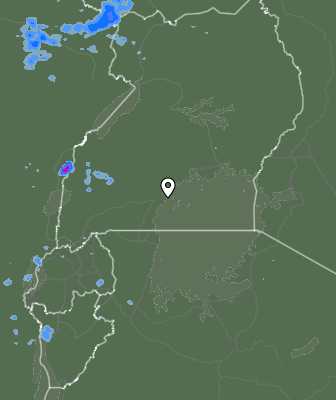 Валежи