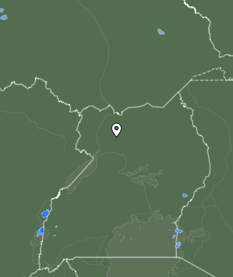 Nedbør