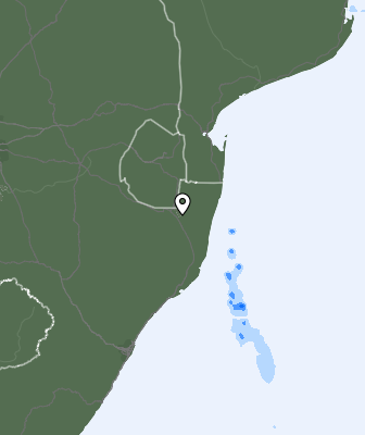 Neerslag
