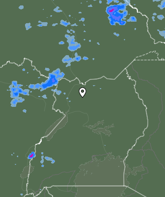 Валежи