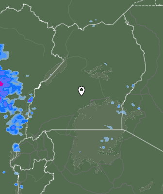 Валежи
