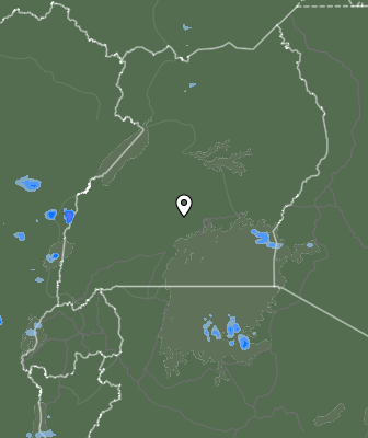 Nedbør