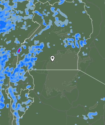 Валежи