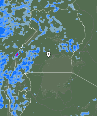 Валежи