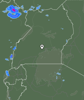 Валежи