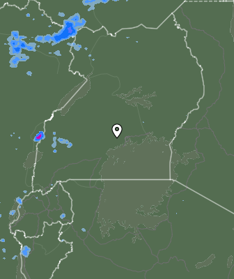 Валежи