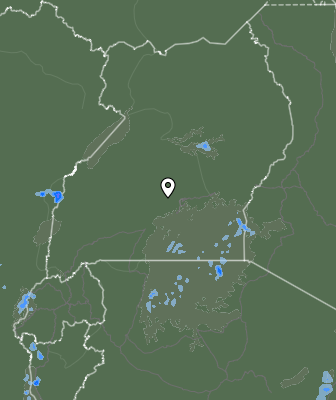 Nedbør