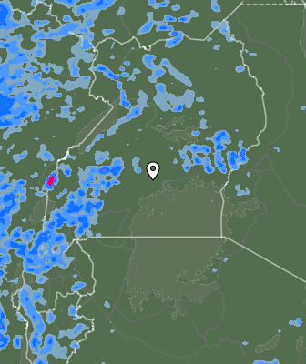 Валежи