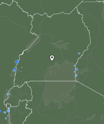 Nedbør