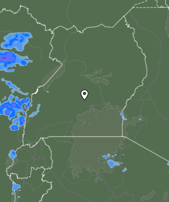 Валежи