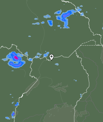 Валежи