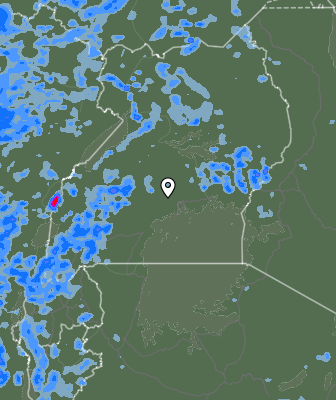 Валежи