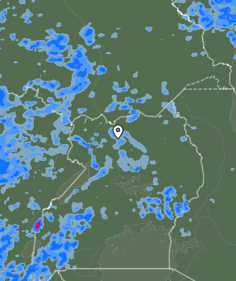 Валежи