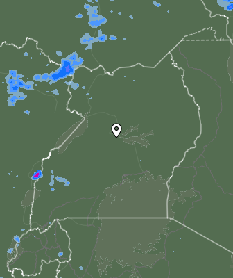 Валежи