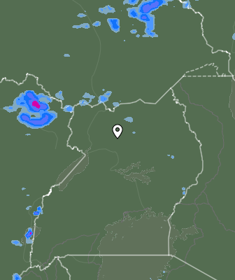 Валежи