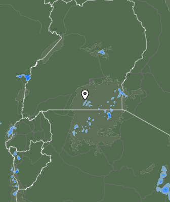 Nedbør