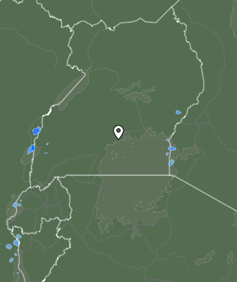 Nedbør