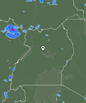 Валежи