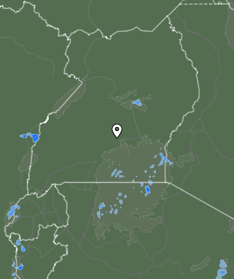 Nedbør